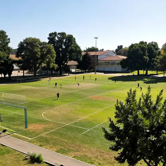 Coimbra Sports: O Destino Ideal para os Amantes de Esportes
