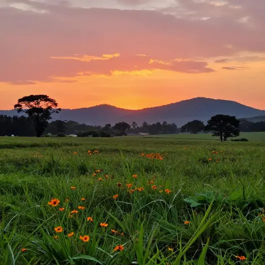 Sítio por do sol